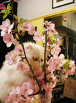 PICT0564.jpg