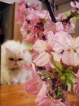 PICT0584.jpg