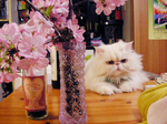 PICT0593.jpg
